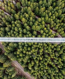 Sky Bridge 721. Najdłuższy most wiszący.  Atrakcja tuż przy granicy z Polską