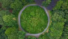 Coś jeszcze z tego będzie: jak odpady stają się surowcem przyszłości