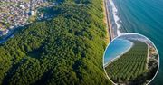 Wielki mur z milionami drzew ma zatrzymać tsunami. Unikatowy projekt