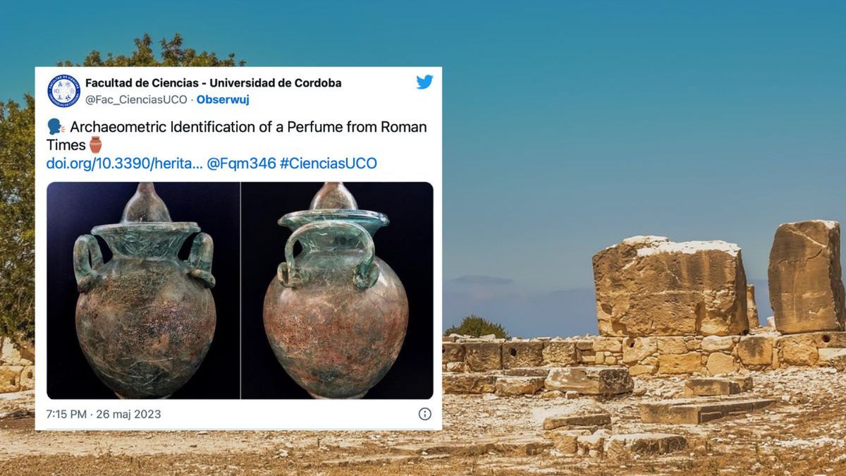 Zdjęcie ilustracyjne 