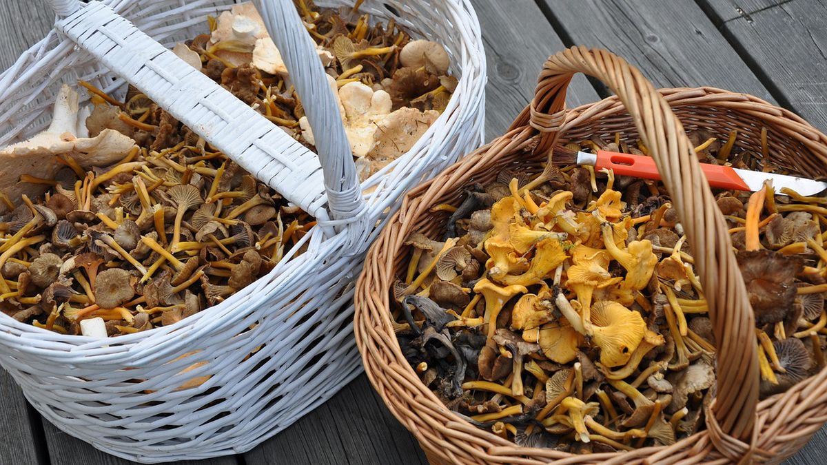 Zdjęcie ilustracyjne