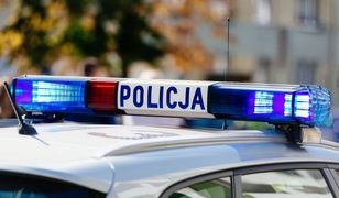 Jedna przejażdżka, siedem wykroczeń. Rowerzystka ukarana na 4,2 tys. zł