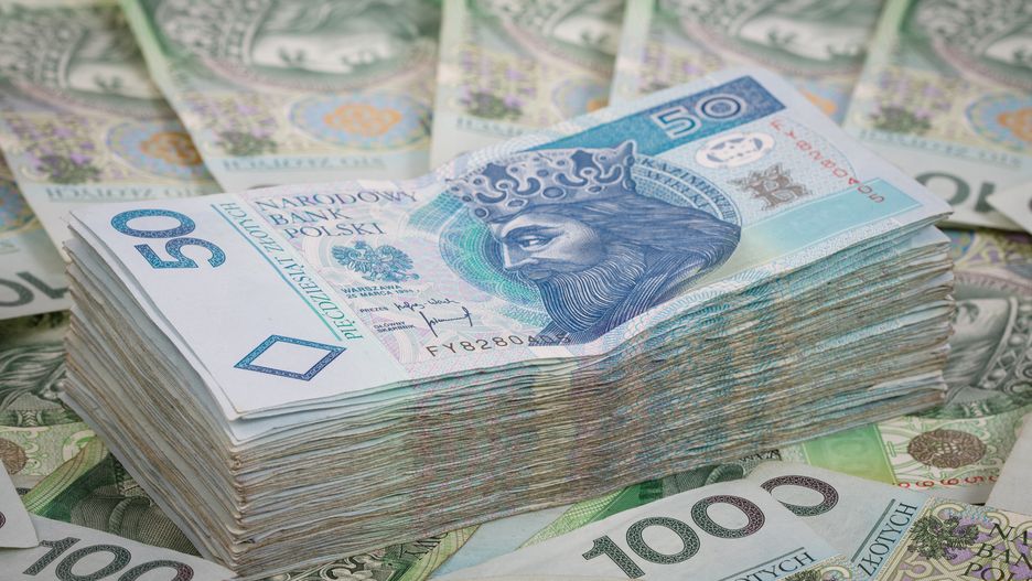 banknoty, biznes, bogactwo, gotówka, handel, kasa, kupno, kupowanie, polskie, portfel, sprzedawanie, sprzedaż, waluta, kryzys