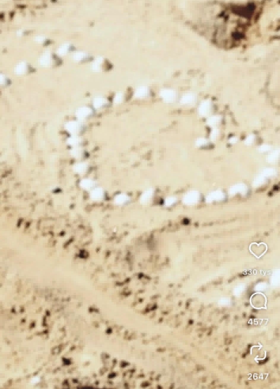 Księżniczka Charlotte skończyła 11 lat