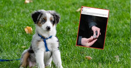 Sąsiad znalazł pod blokiem. Pokazała zdjęcie. "Brak mi już sił"