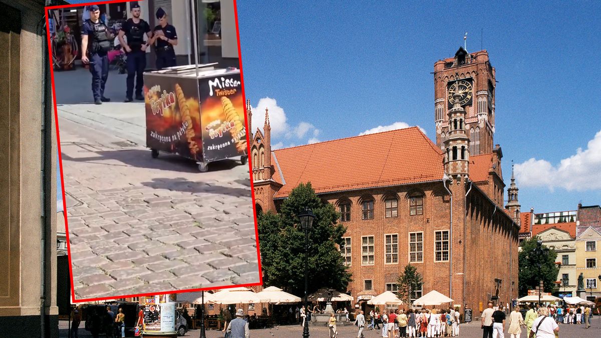 Ciąg dalszy kłopotów Pana Frytki
