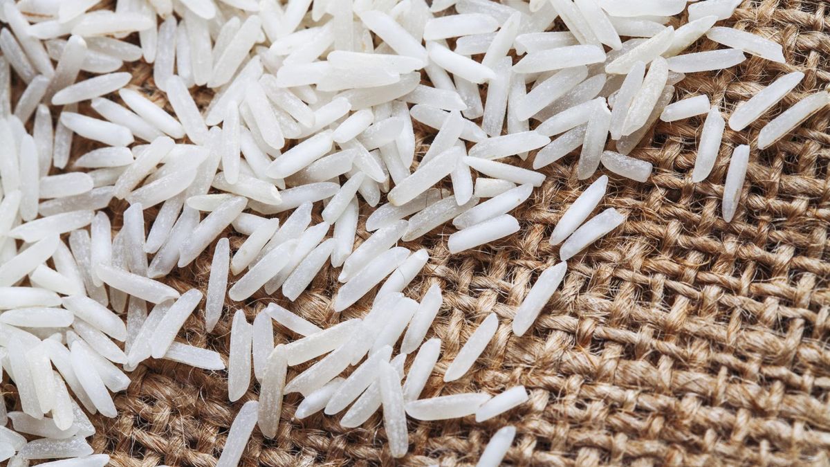 Ryż powinien być jedzony zaraz po ugotowaniu