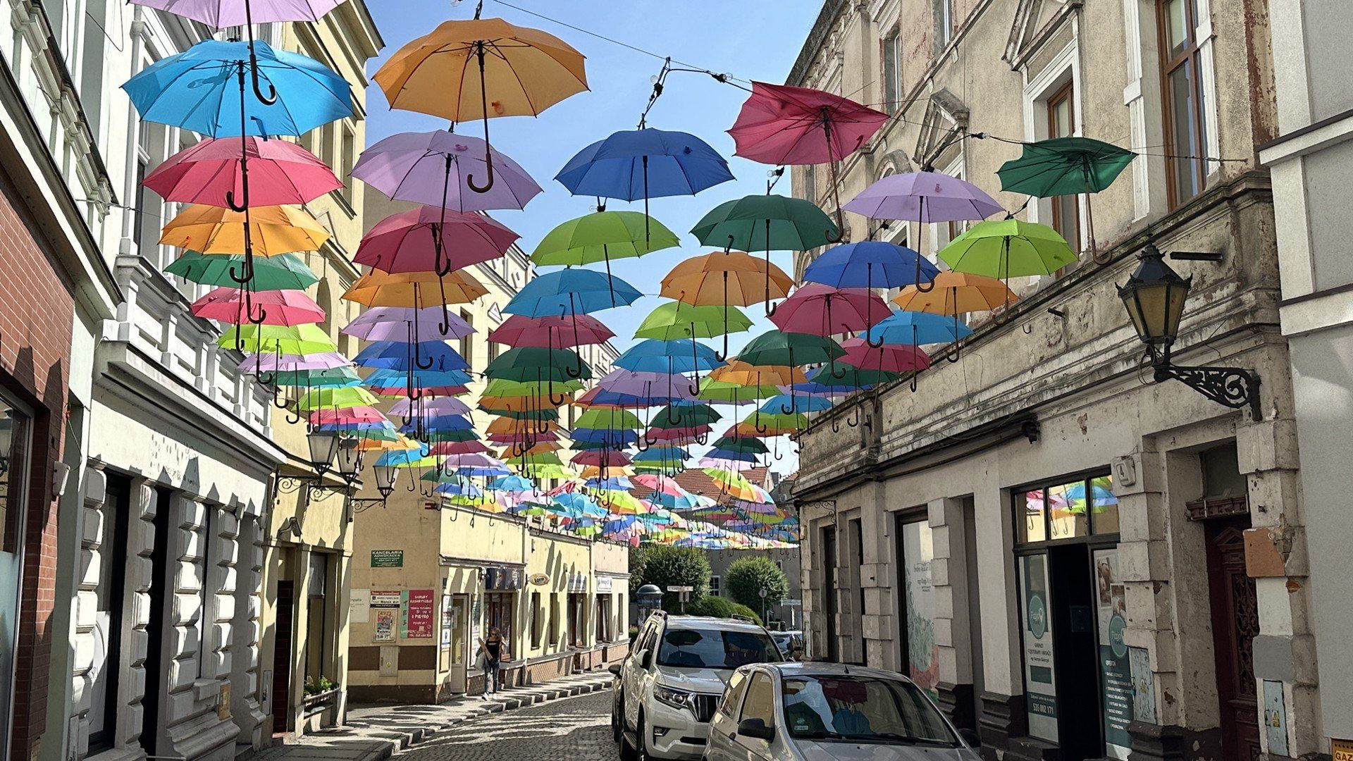 Parasolki we Wschowie