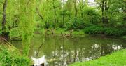 Warszawa: Park do odświeżenia. Za moment ruszą pracę. W planach sporo nowości