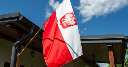 Wiele osób tkwi w błędzie. Chodzi o godło Polski