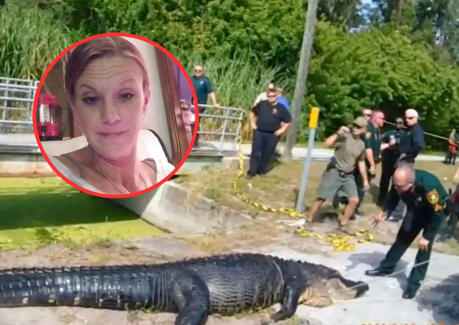 Aligator pożarł kobietę. Do sieci trafiły przerażające zdjęcia