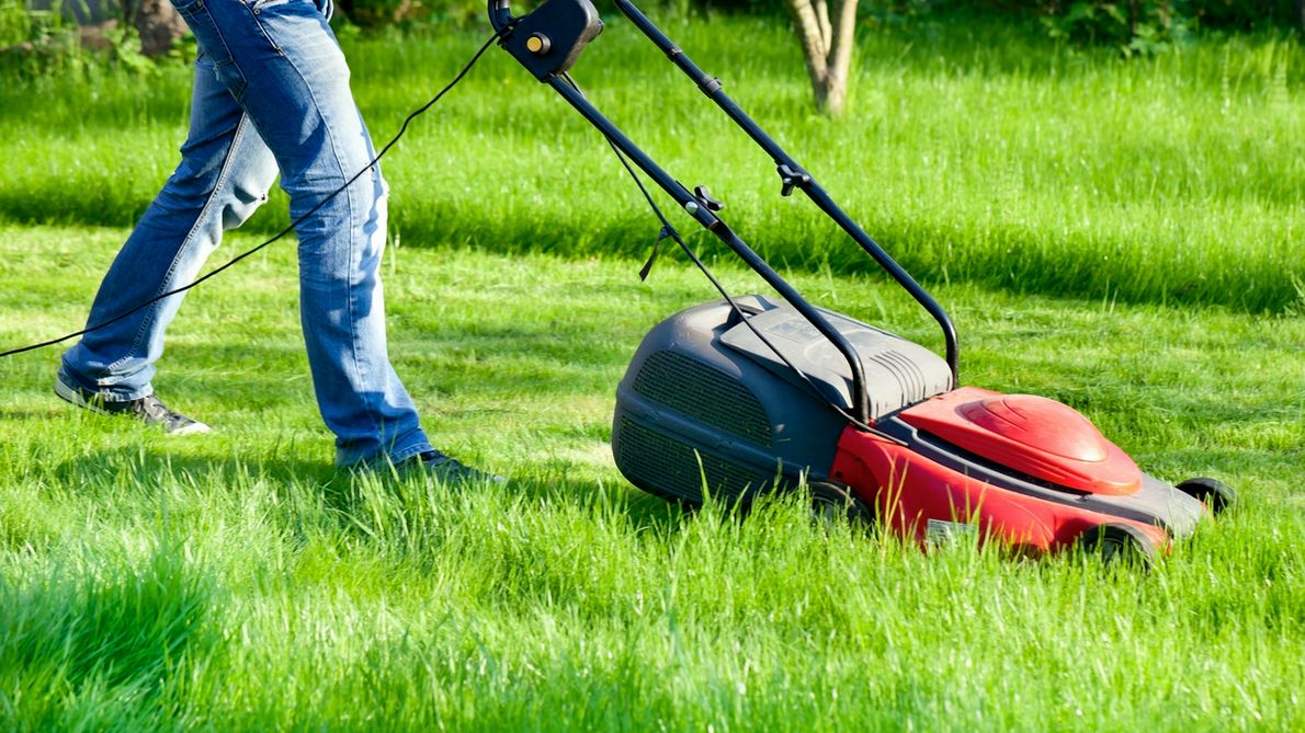 Kosiarka do 500 zł 1