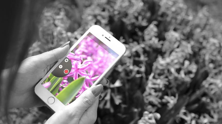 Color Binoculars to aplikacja Microsoftu, która pomoże daltonistom "zobaczyć" kolory 1