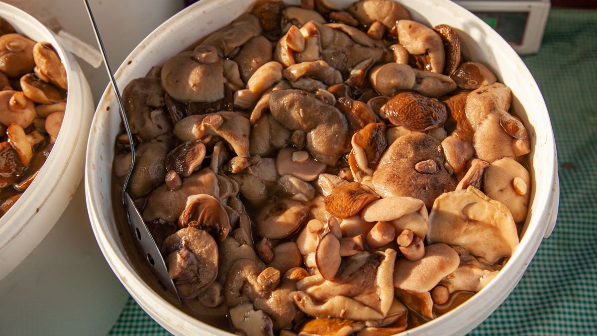 Jakie produkty zalegają najdłużej w jelitach?