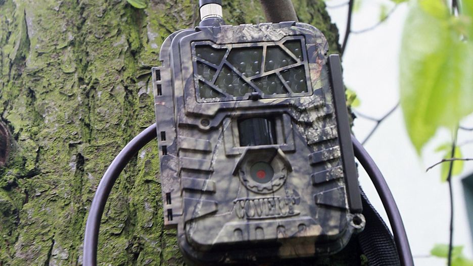 W podbydgoskich lasach ruszyła akcja &#34;Stroisz 2025&#34;