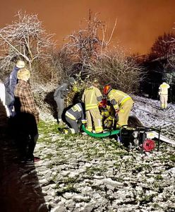 Żarów. Utopili chorą suczkę w studni. Bulwersująca interwencja DIOZ