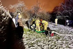 Żarów. Utopili chorą suczkę w studni. Bulwersująca interwencja DIOZ