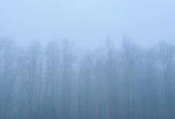 Pogoda. Wrocław. 19 kwietnia - nadciąga ocieplenie. Nie na długo