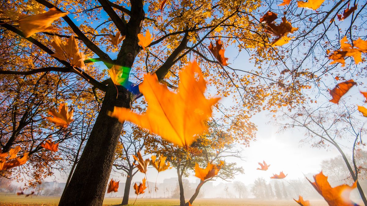 Kiedy początek jesieni?
