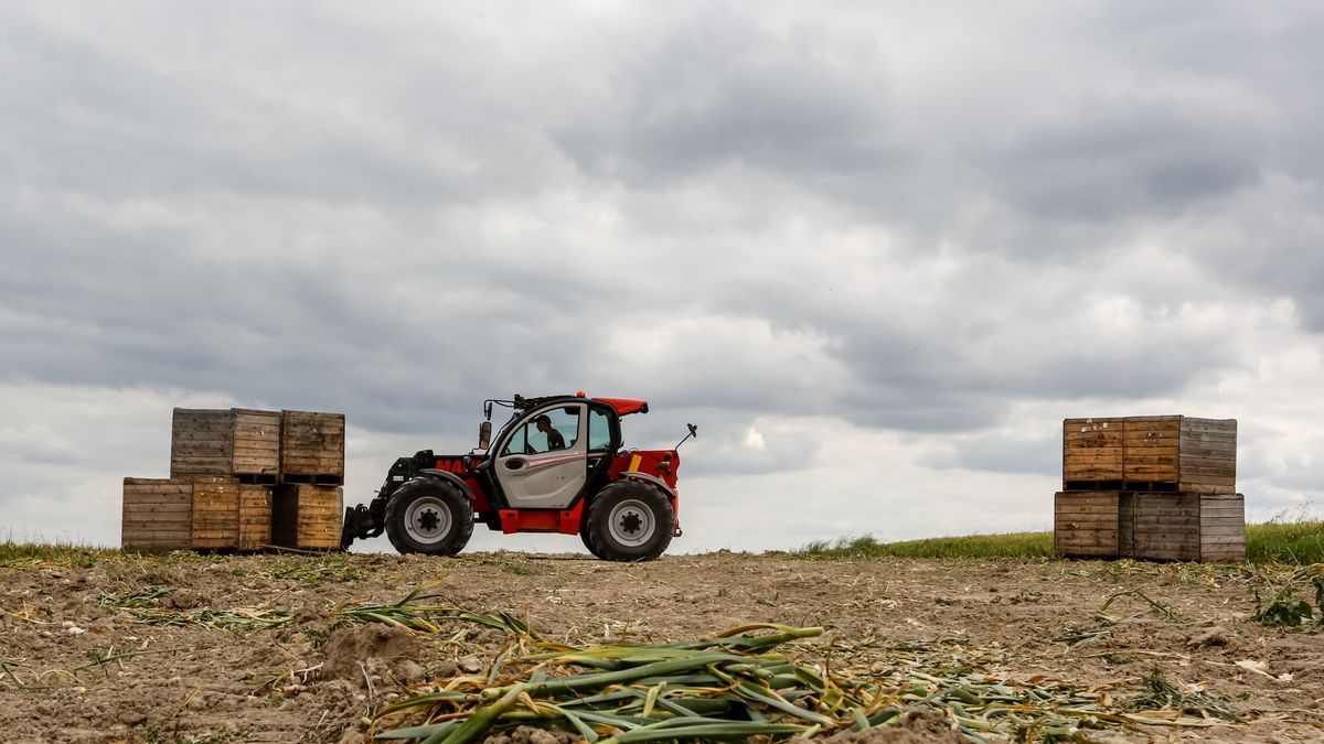 Porównali rentę alkoholową z emerytura rolniczą 