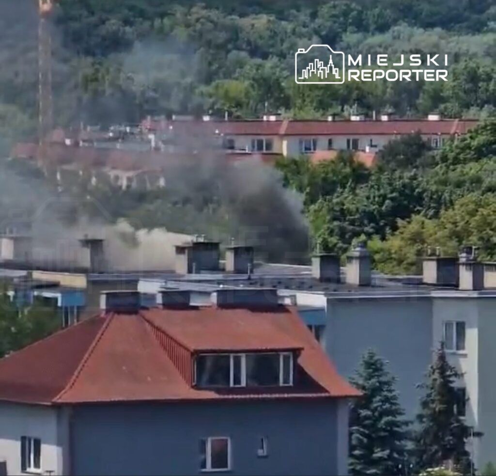 Fot. Czytelnik Miejskiego Reportera