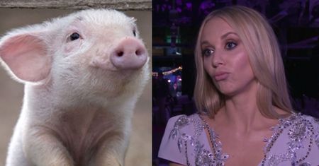 Kasia Moś wyznaje: "Od dziecka marzy mi się świnia!"