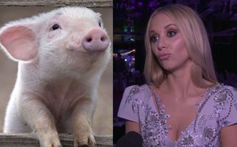 Kasia Moś wyznaje: "Od dziecka marzy mi się świnia!"