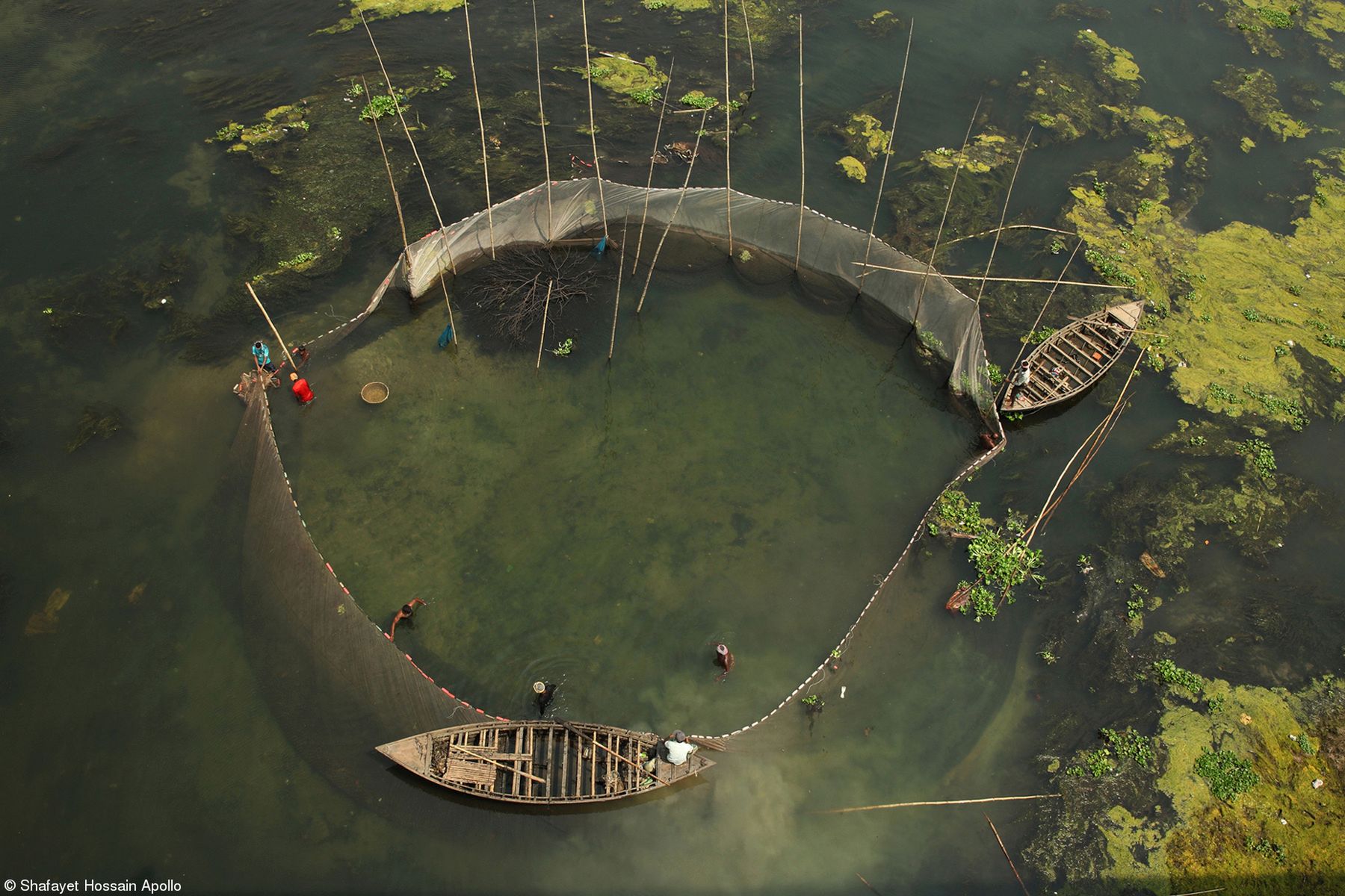 Najsmaczniejsze zdjęcia kulinarne 2019 roku. Zobacz, wyniki konkursu 5