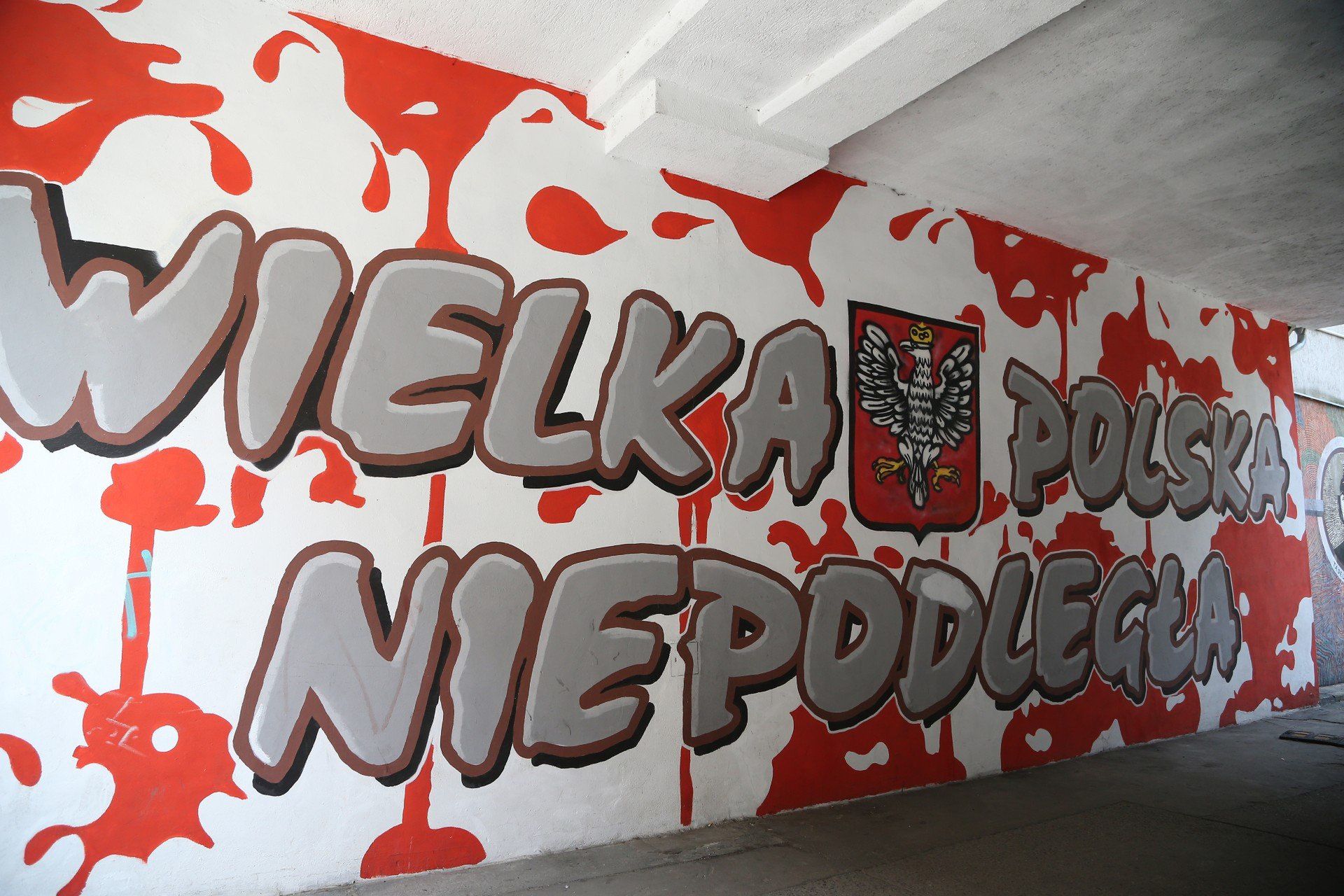 Nadodrze kolorami malowane! Odkryj Kolorowe Podwórka – artystyczną perełkę Wrocławia, która zachwyca od pierwszego spojrzenia!