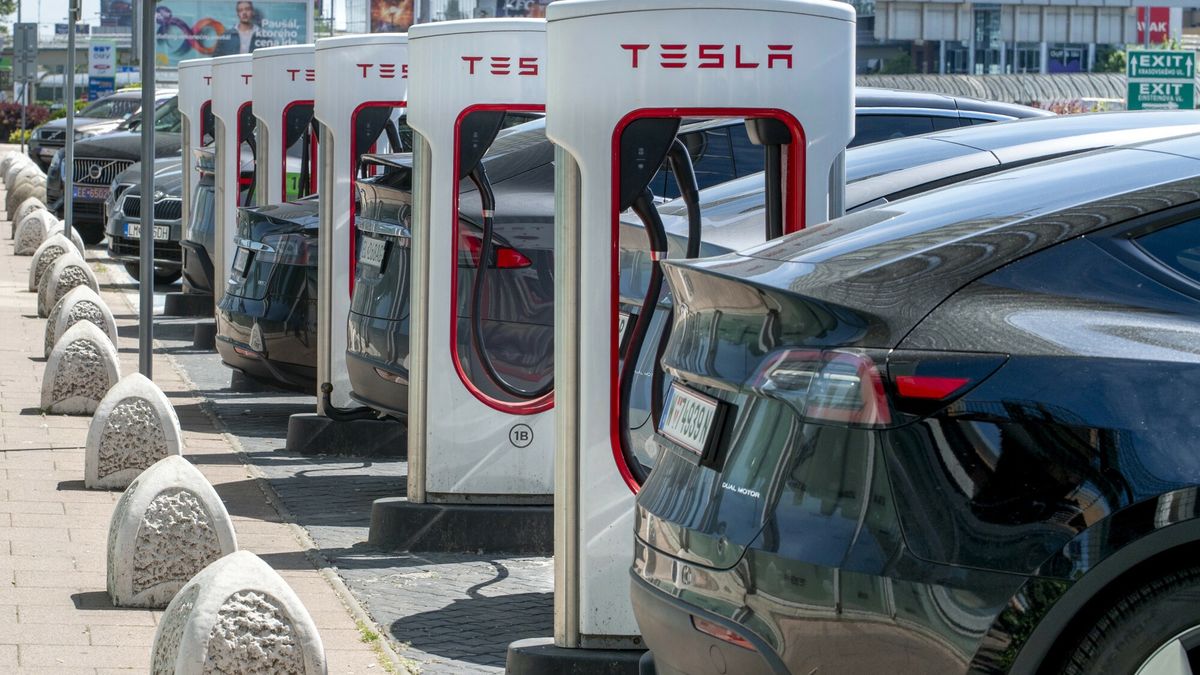 Tesla traci, ale wciąż króluje na polskim rynku