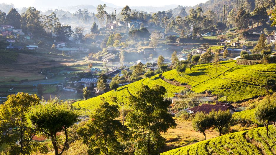 Sri Lanka 