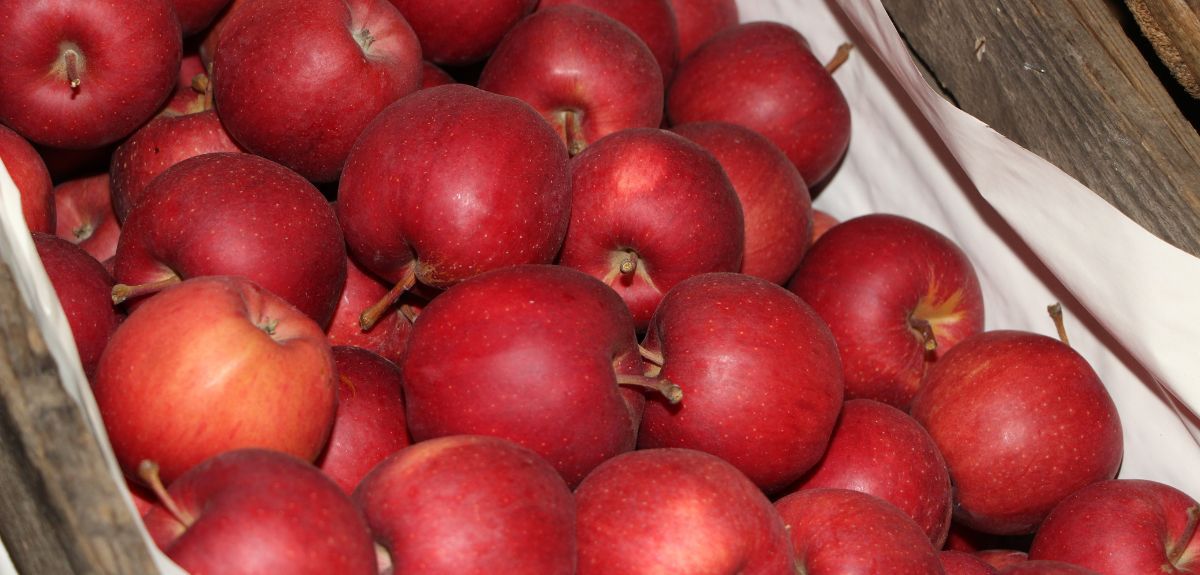 Ceny jabłek deserowych w hurcie na koniec listopada: rozstrzał coraz większy