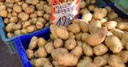 To nie żart. Oto ile kosztują teraz polskie ziemniaki