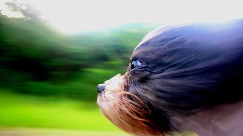 Dla początkujących: metody na efektowne pokazanie ruchu 1