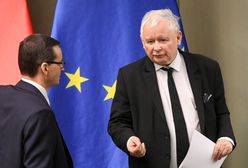 Mateusz Morawiecki odpowiada prezesowi PiS. Reakcja na #StopFurChallenge