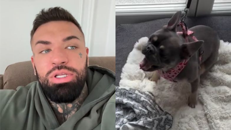 Pies Deynn i Majewskiego nie wraca do domu