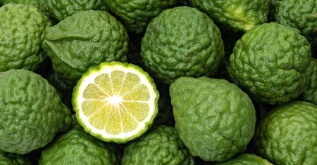 Limonka kaffir - co to jest, właściwości zdrowotne, zastosowanie w kuchni