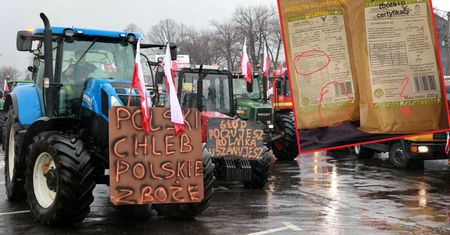 Zboża z Ukrainy w kaszkach. Firma odpowiada wściekłym klientom