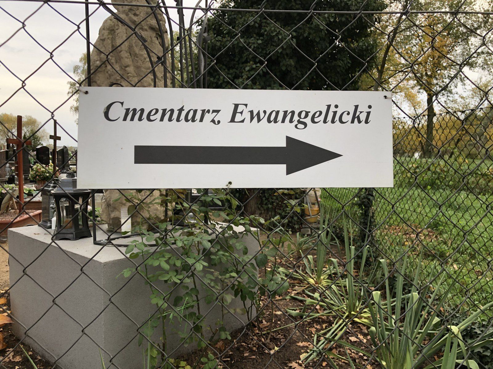 Cmentarz ewangelicki w Strzyżewicach