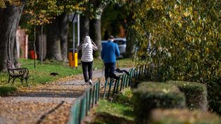 Naukowo o spadających liściach. Specjalista radzi, kiedy odłożyć grabie