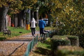 Naukowo o spadających liściach. Specjalista radzi, kiedy odłożyć grabie