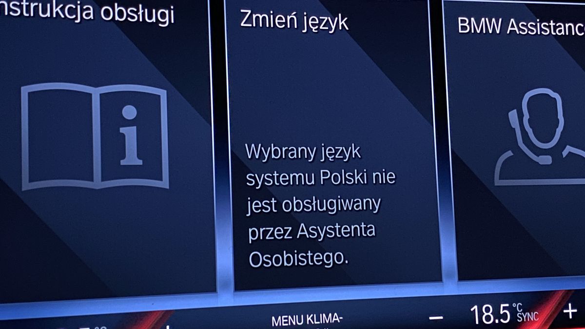 BMW iX1 xDrive30 (2023)