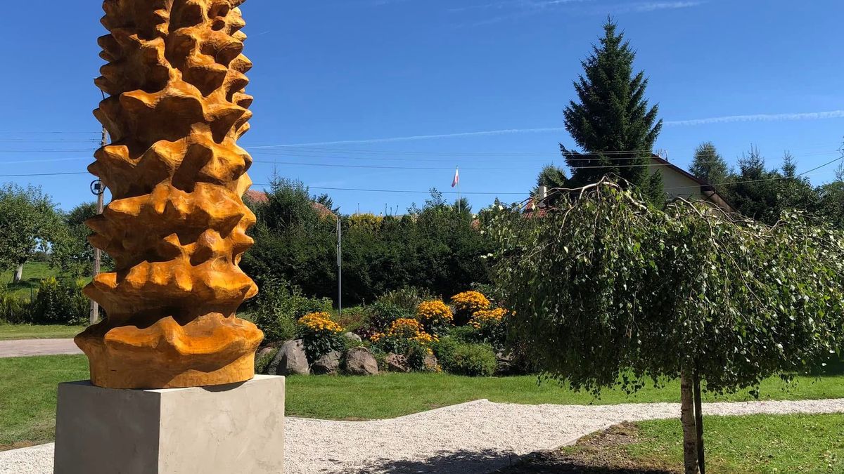 Pomnik sękacza na Warmii i Mazurach 