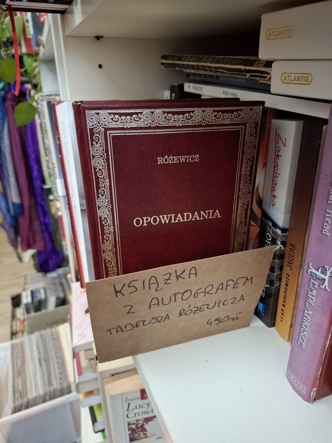 Wielki kiermasz książki używanej w Stacja Dobro