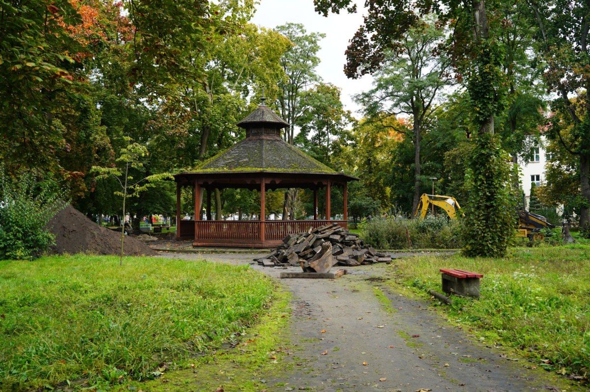 Koło: Nowe oblicze Parku Moniuszki. Alejki zyskają świeży wygląd