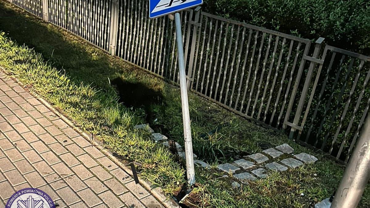 Podczas nieodpowiedzialnej jazdy kobieta uszkodziła m.in. znaki drogowe