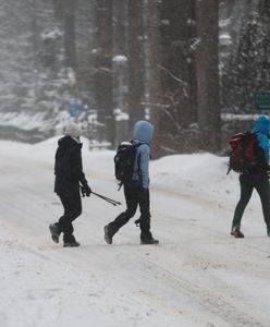 Niezwykłe prognozy pogodowe dla Europy. Chodzi o śnieg