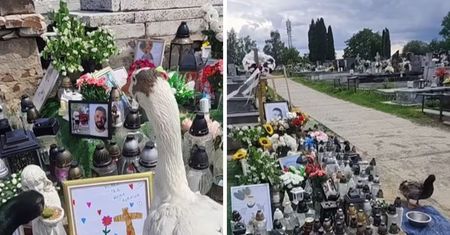 2 tygodnie po pożarze grobu Litewki. Zrobiło się kolorowo. Ależ widok