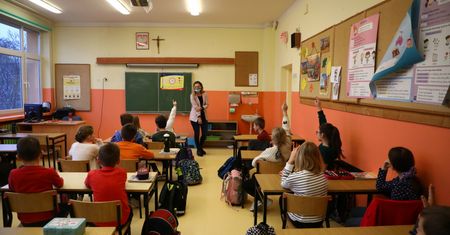 Wiceminister edukacji o prawach zwierząt. "Takie pojęcie nie istnieje"