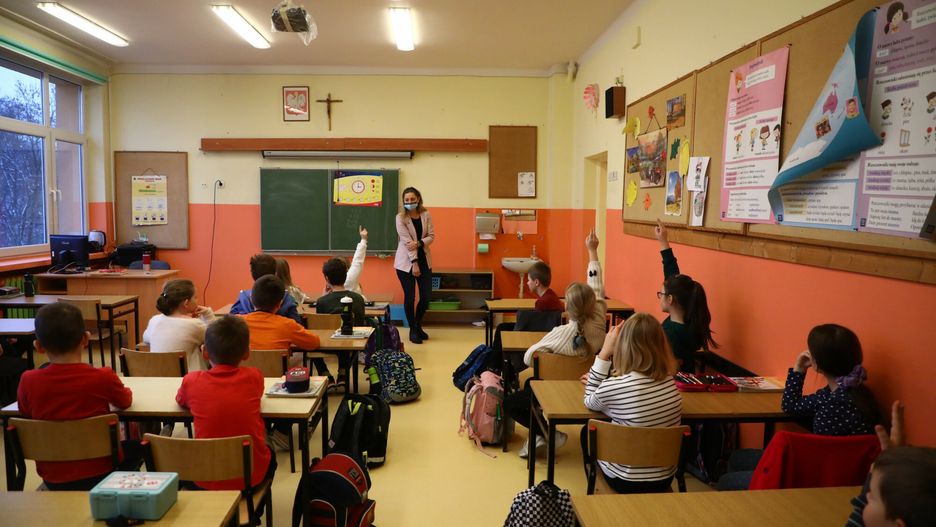 Wiceminister edukacji o prawach zwierząt. "Takie pojęcie nie istnieje"